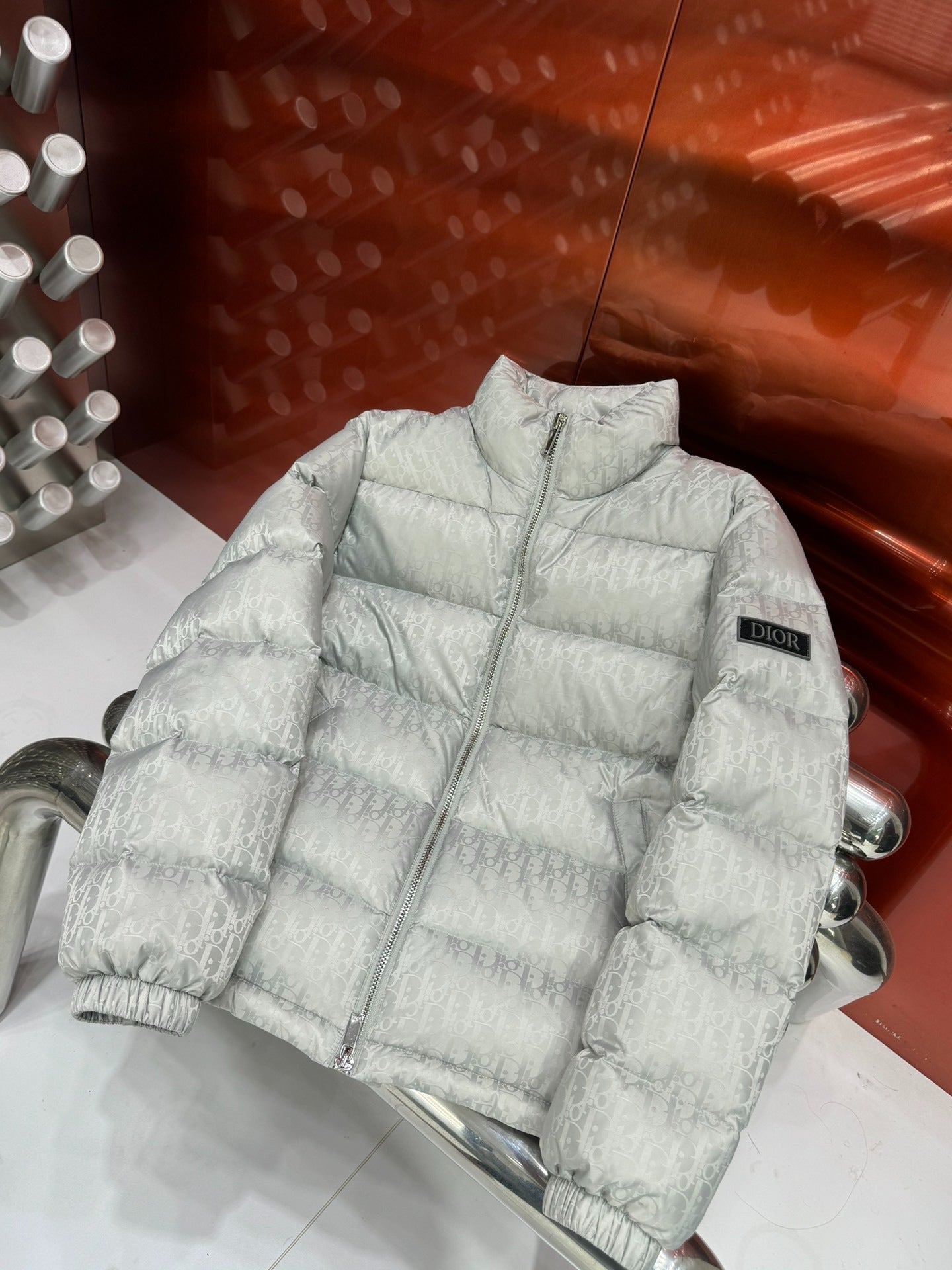 Piumino dior (Copy)